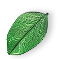 floating_leaf_01 https://sparklebee.me/wp-content/uploads/2025/07/floating_leaf_01.png